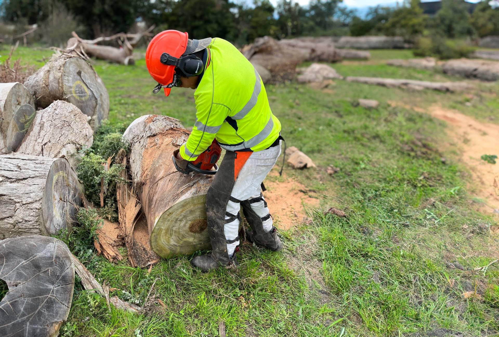 Approved Chainsaw